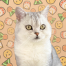 heshu