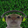 minhkek