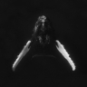 vblackwhale