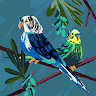 coscujin64